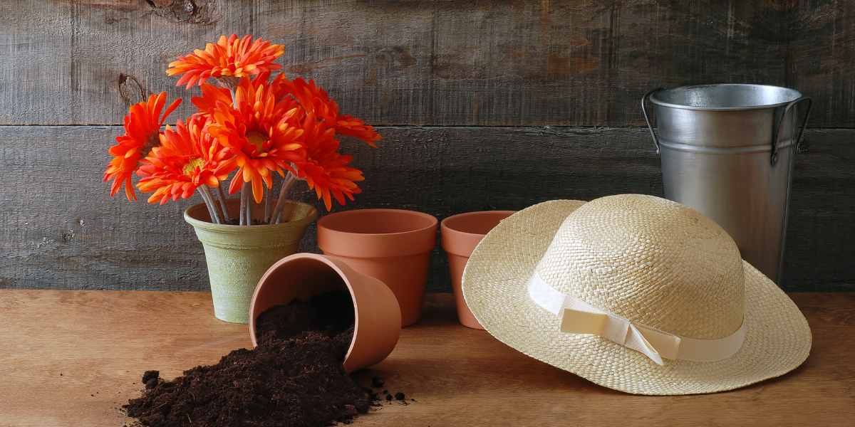 Comment nettoyer un chapeau en paille ?