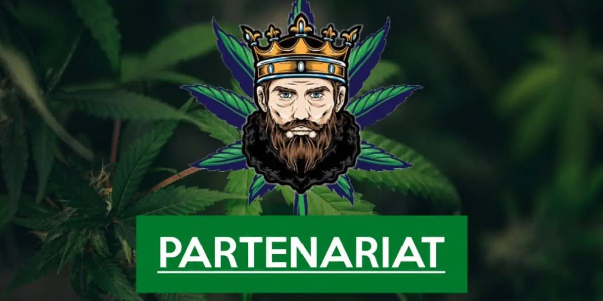 Le du duc CBD en partenariat avec Bob Crew